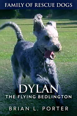 dylan book cover image