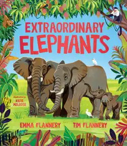 extraordinary elephants book cover image
