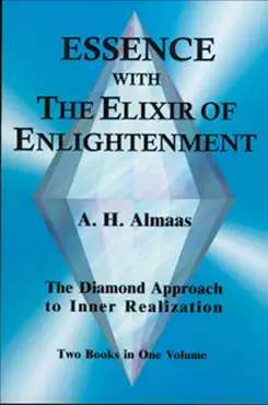 essence with the elixir of enlightenment book cover image