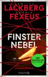 Finsternebel synopsis, comments