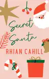 Secret Santa synopsis, comments