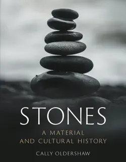 stones book cover image