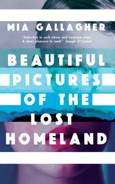beautiful pictures of the lost homeland book cover image