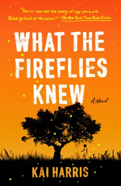 what the fireflies knew book cover image