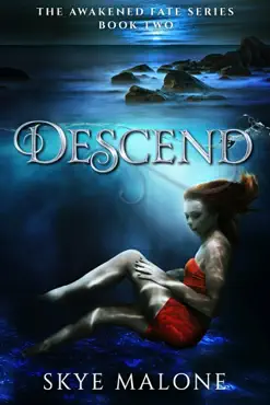 descend book cover image