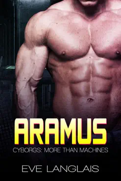 aramus book cover image