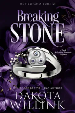 breaking stone book cover image