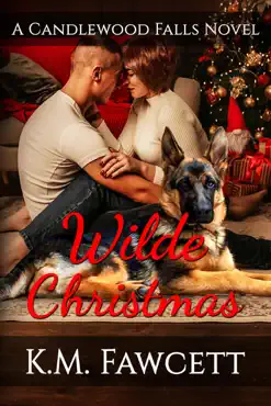 wilde christmas book cover image