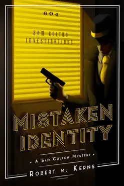 mistaken identity book cover image