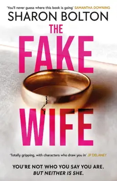 the fake wife book cover image