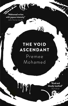 the void ascendant book cover image
