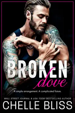 broken dove book cover image