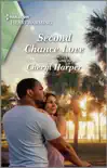 Second Chance Love synopsis, comments