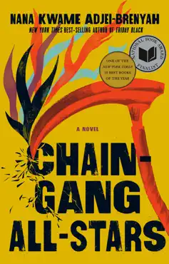 chain gang all stars book cover image