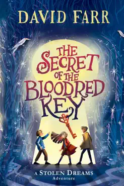 the secret of the bloodred key book cover image