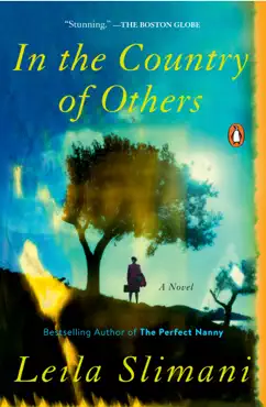 in the country of others book cover image