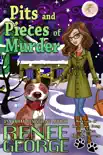 Pits and Pieces of Murder synopsis, comments
