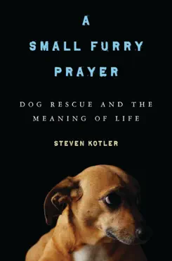 a small furry prayer book cover image