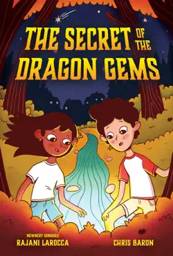the secret of the dragon gems book cover image