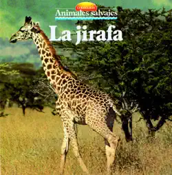 la jirafa book cover image