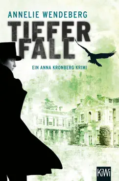 tiefer fall book cover image