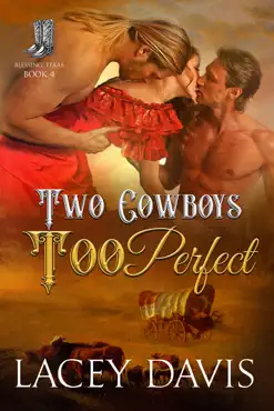 two cowboys too perfect book cover image