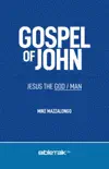Gospel of John synopsis, comments