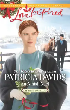 an amish noel book cover image