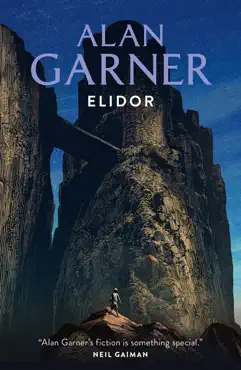 elidor book cover image