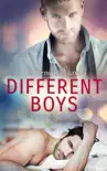 Different Boys synopsis, comments