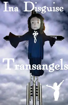 transangels book cover image
