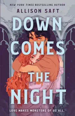 down comes the night book cover image
