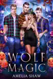Wolf Magic synopsis, comments