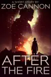 After the Fire synopsis, comments