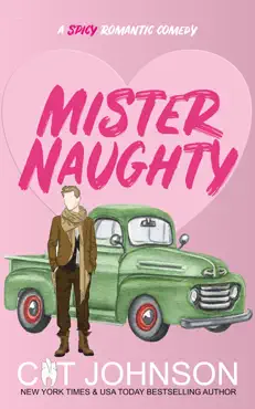 mister naughty book cover image