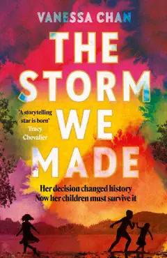 the storm we made imagen de la portada del libro