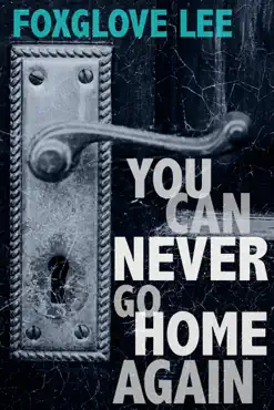 you can never go home again book cover image