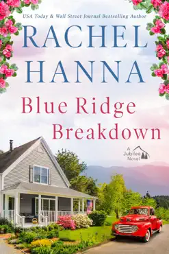 blue ridge breakdown book cover image