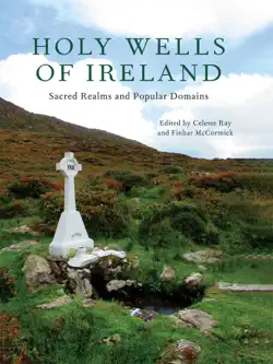 holy wells of ireland book cover image