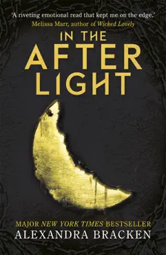 in the afterlight imagen de la portada del libro
