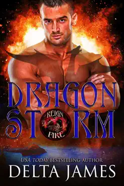 dragon storm book cover image
