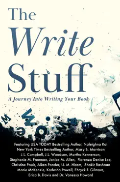 the write stuff book cover image