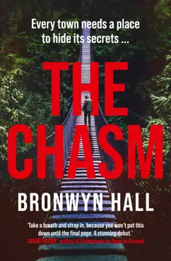 the chasm book cover image