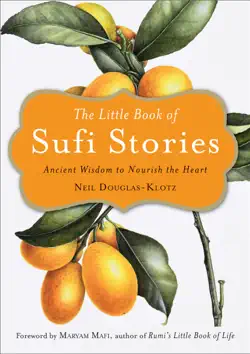 the little book of sufi stories book cover image