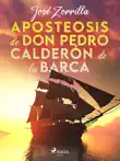 Aposteosis de don Pedro Calderón de la Barca sinopsis y comentarios