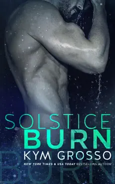 solstice burn book cover image