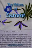 The Visions of Zechariah sinopsis y comentarios
