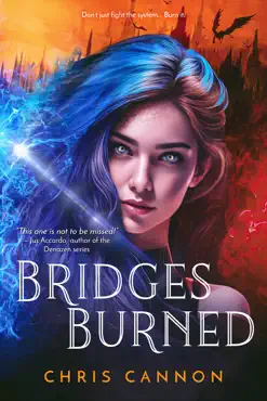 bridges burned (entangled teen) book cover image