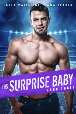 his surprise baby (book three) book cover image