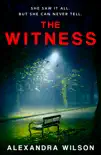 The Witness sinopsis y comentarios